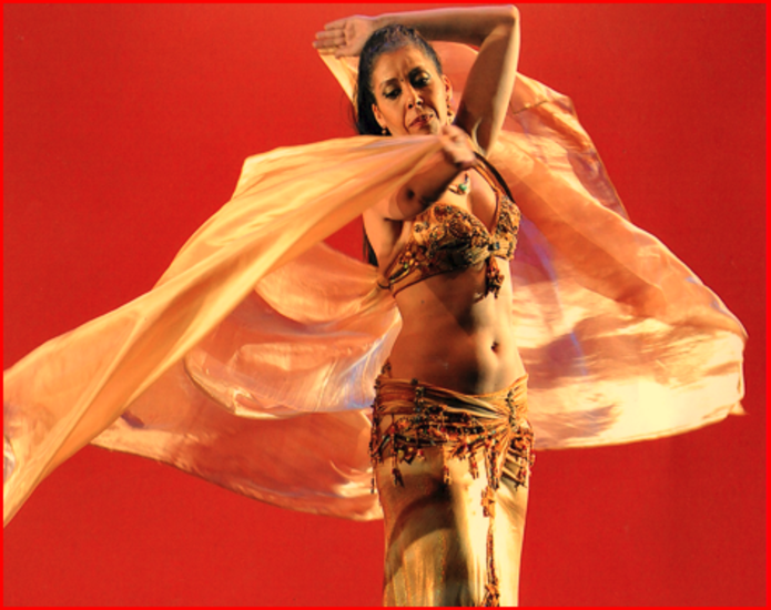 DANSES