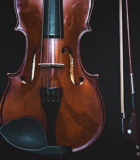 VIOLON