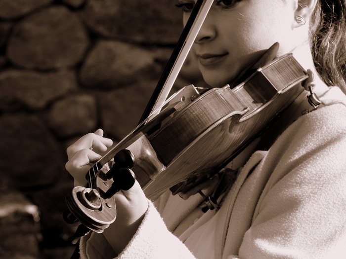 VIOLON