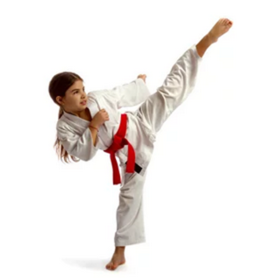 TAEKWONDO - ESPACE DOM'MINOTS - 