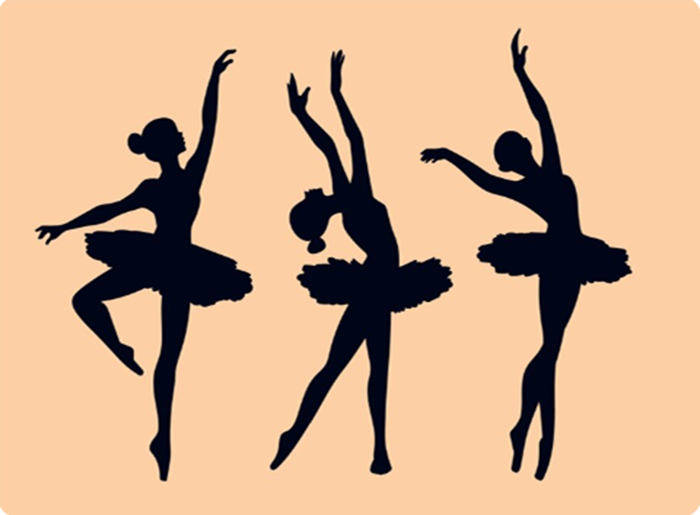 DANSE CLASSIQUE ADULTES