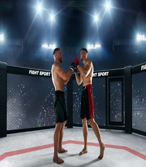 MMA